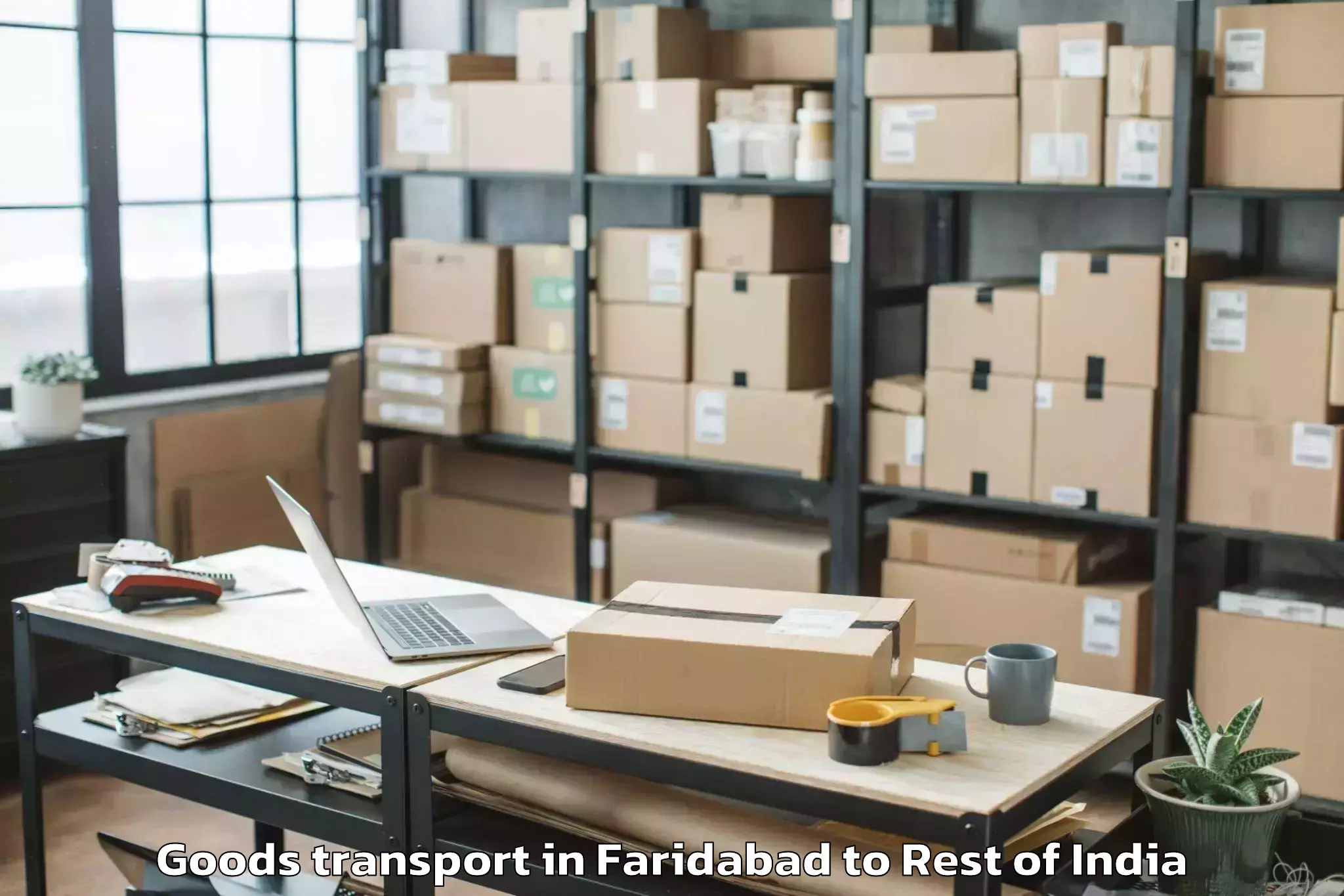 Professional Faridabad to Damercherla Goods Transport